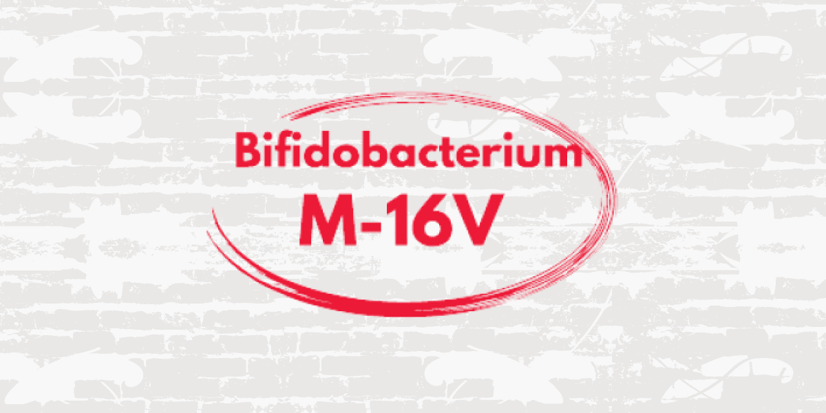 Morinaga M-16V by MayPro Thumbnail