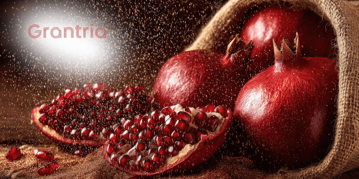 The Beauty-From-Within Power of Triple-Active Pomegranate