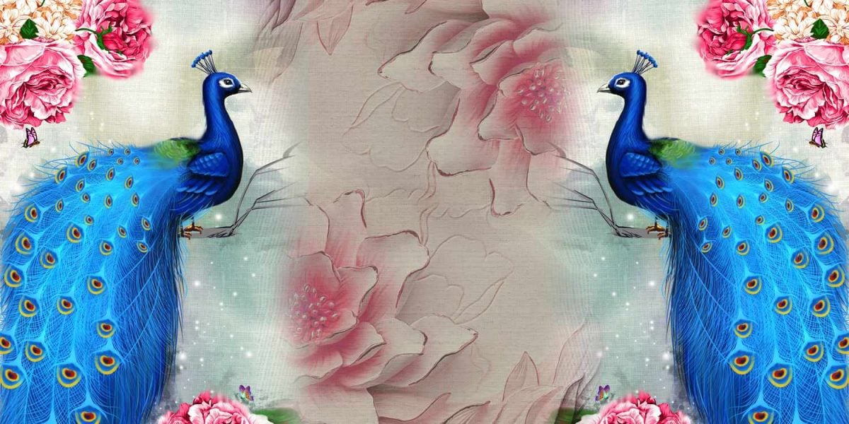 collage with beautiful background on wall with colored painted peacock and flowers and butterfly for interior decor
