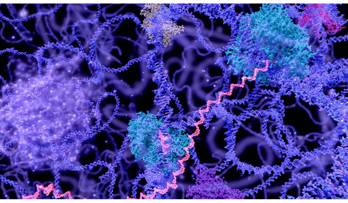 DNA Illustration Blue Purple Pink Gatewayextension