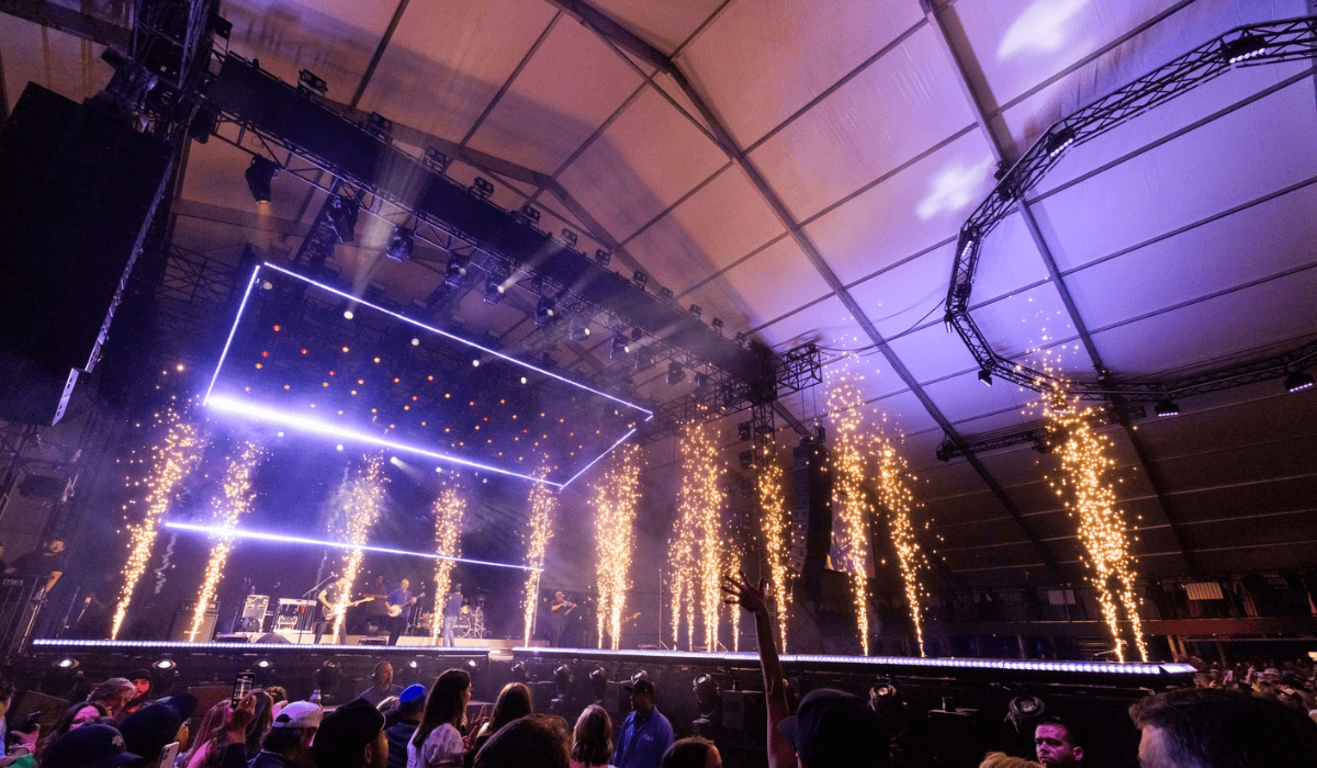 Coors Light Birds Nest