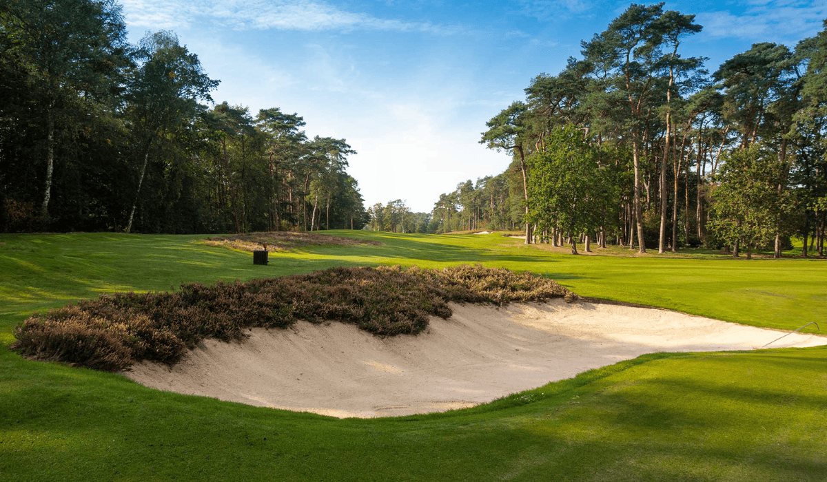 Hamburger Golf Club Falkenstein