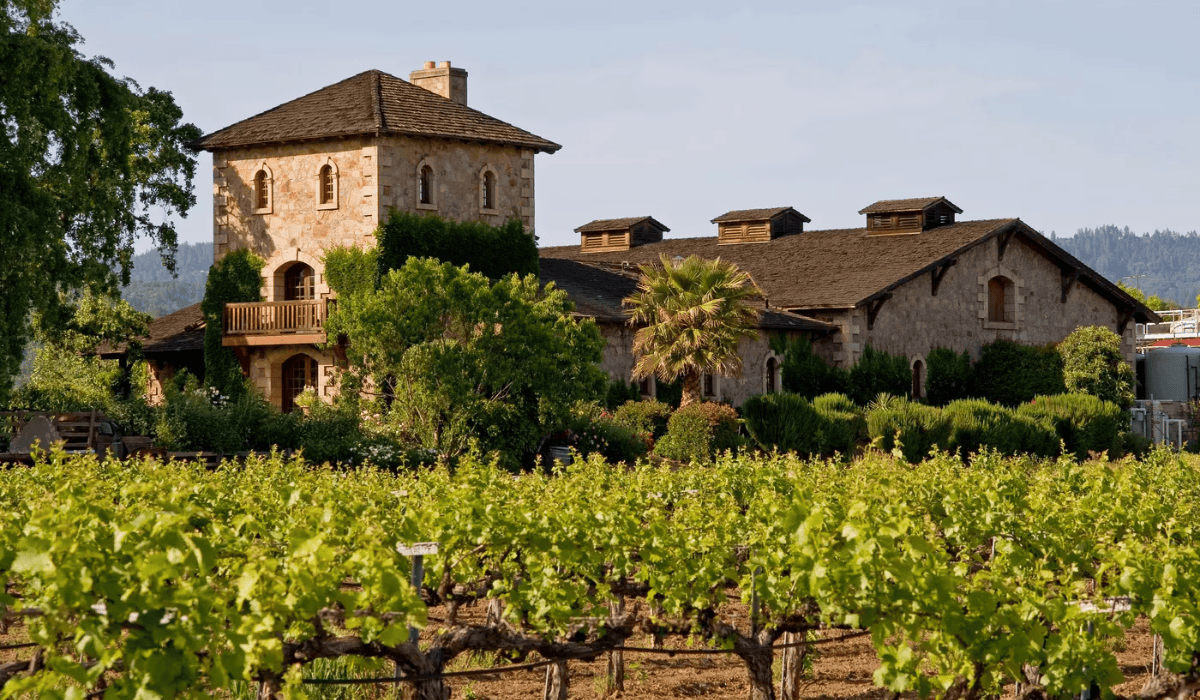California's Napa Vineyards