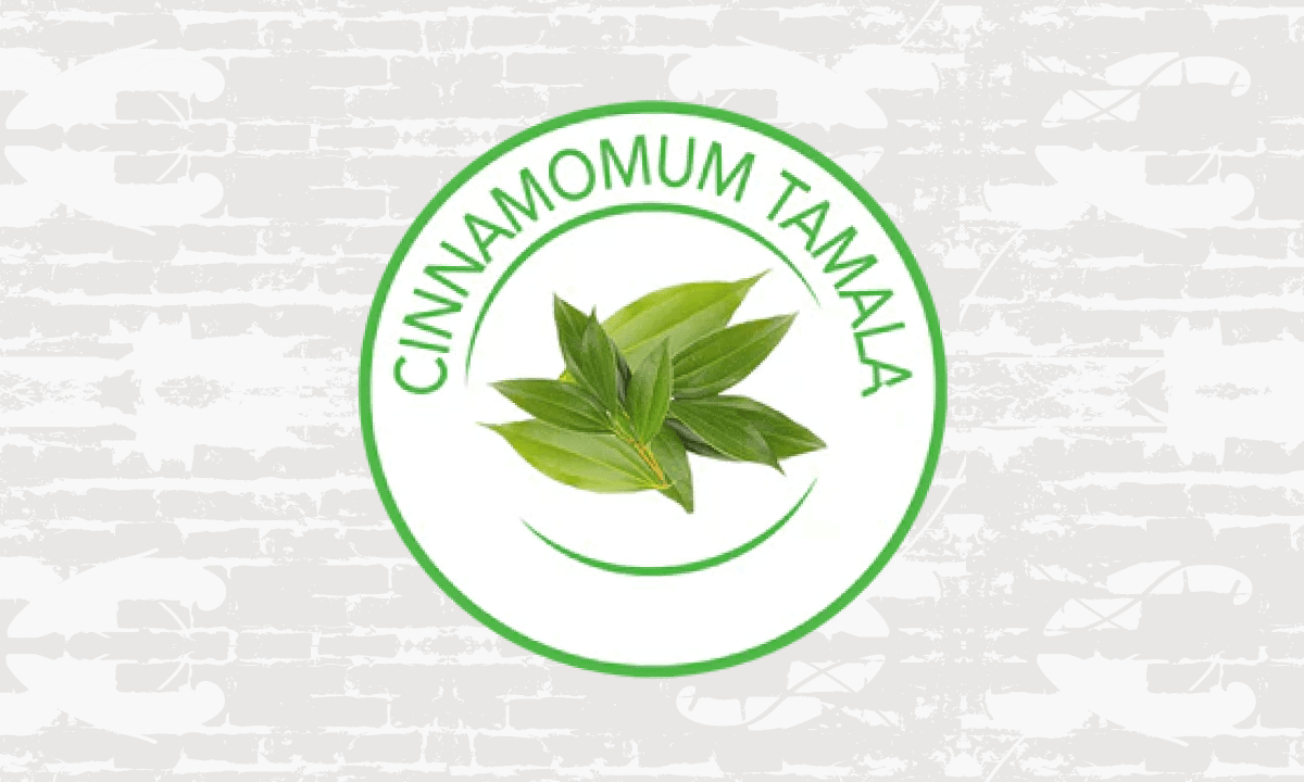 CINDURA THUMBNAIL