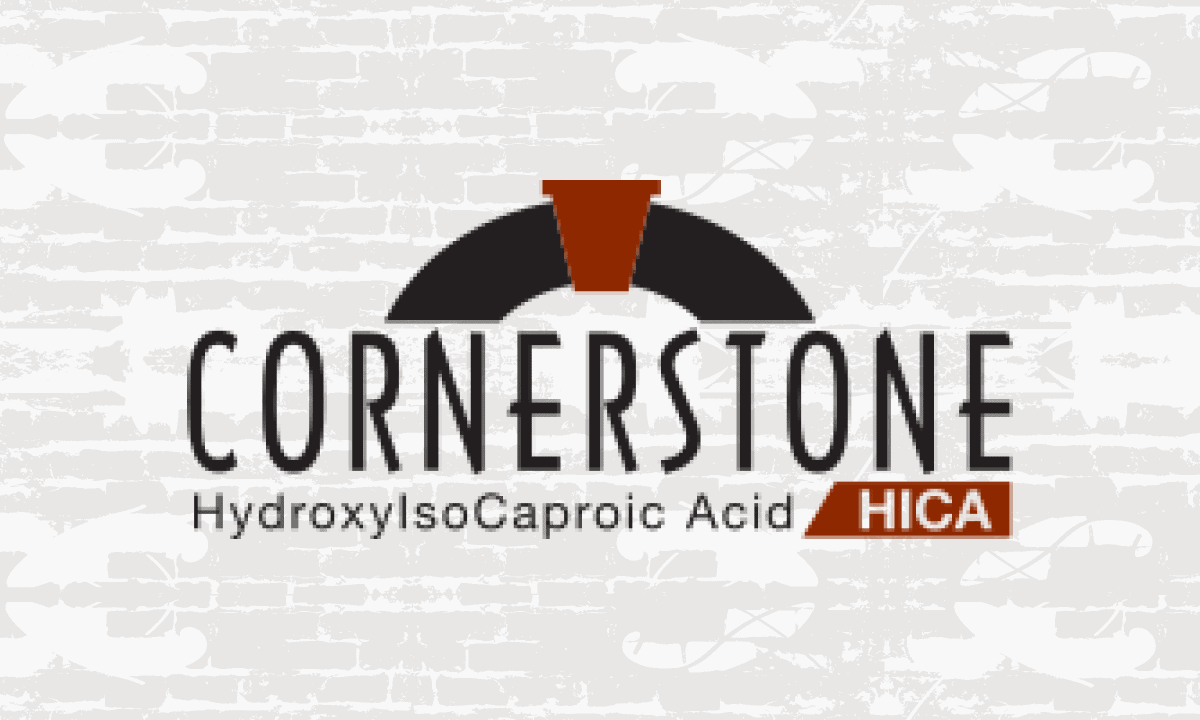 CORNERSTONE THUMBNAIL