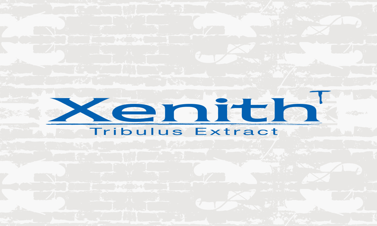 XENITH THUMBNAIL
