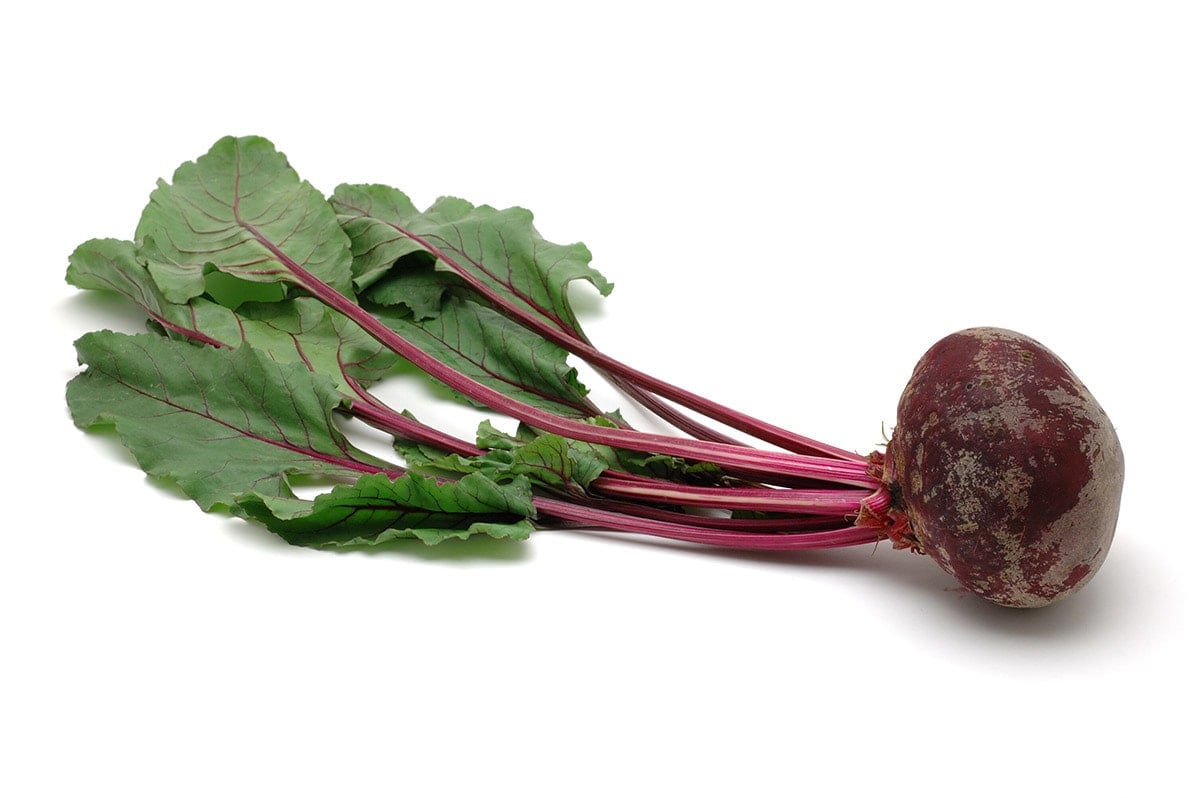 beet greens on white background
