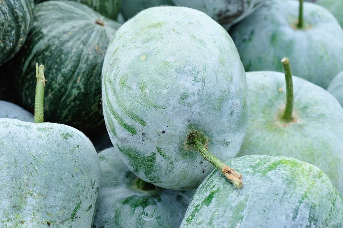 whole winter melons stacked on each other