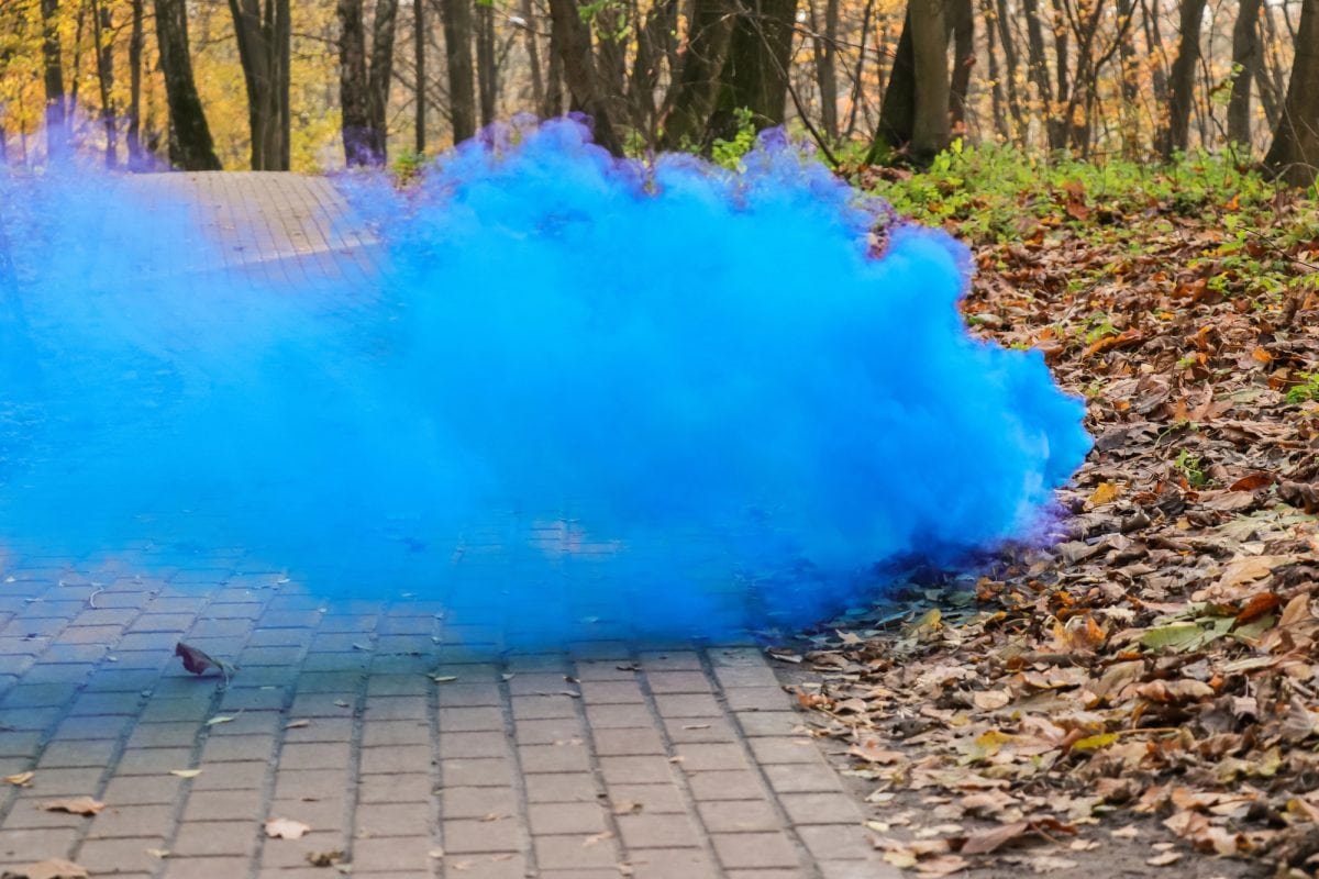gender reveal social media photo ideas