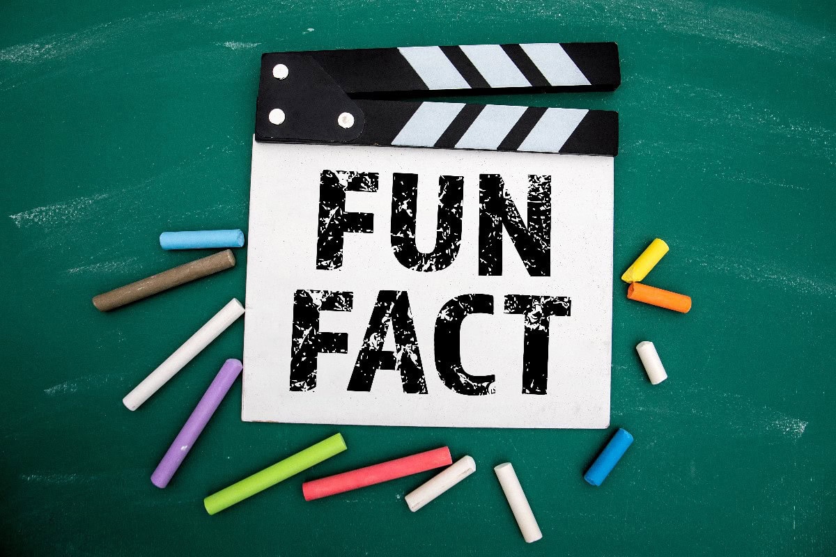 classroom newsletter ideas