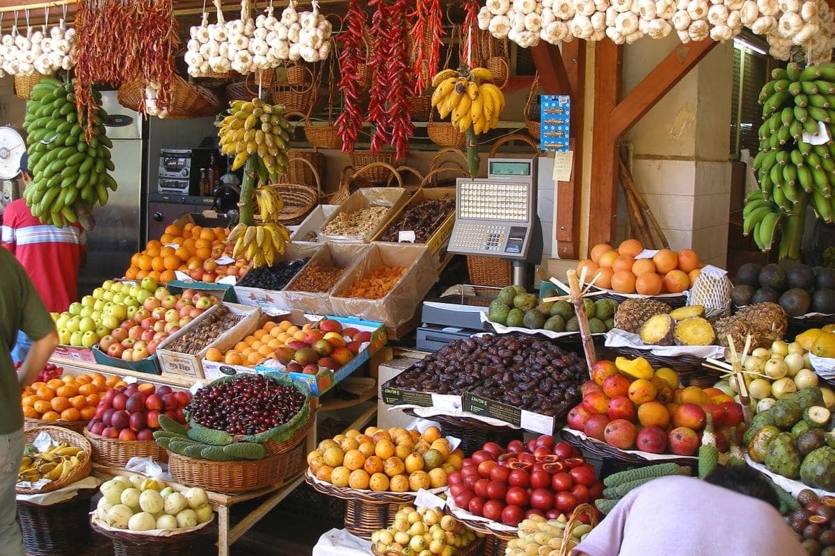 november newsletter ideas