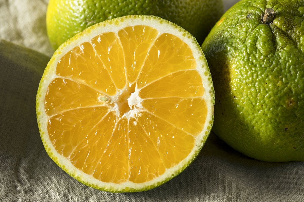 green ugli fruit on a wooden background with a grey napkin