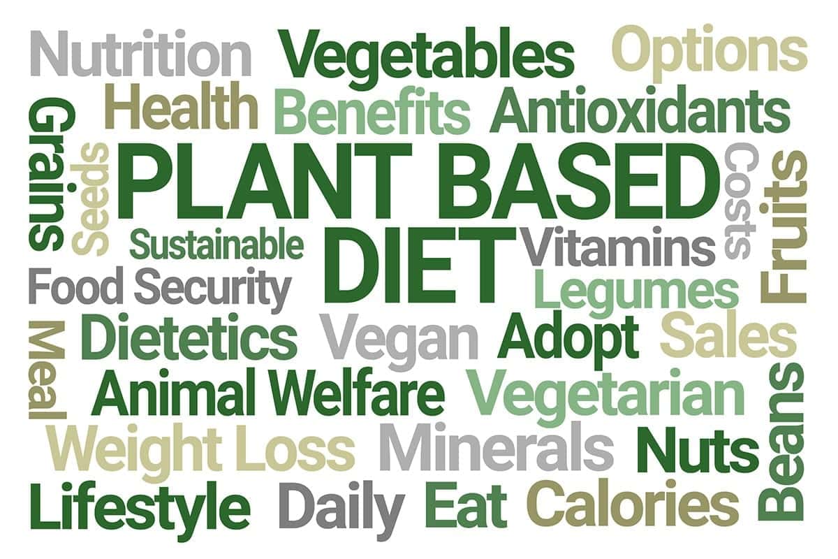 infographic plant based diet vegan