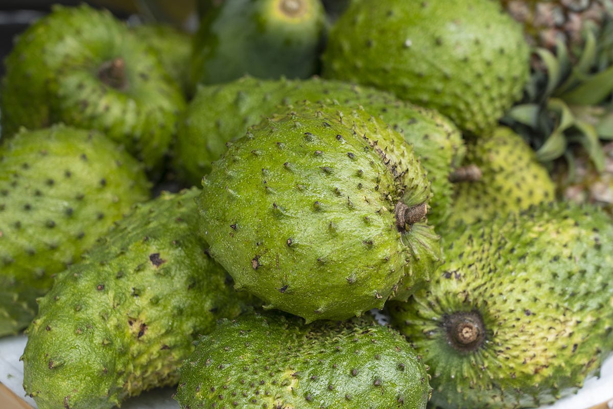 Soursop Juice Healthier Steps