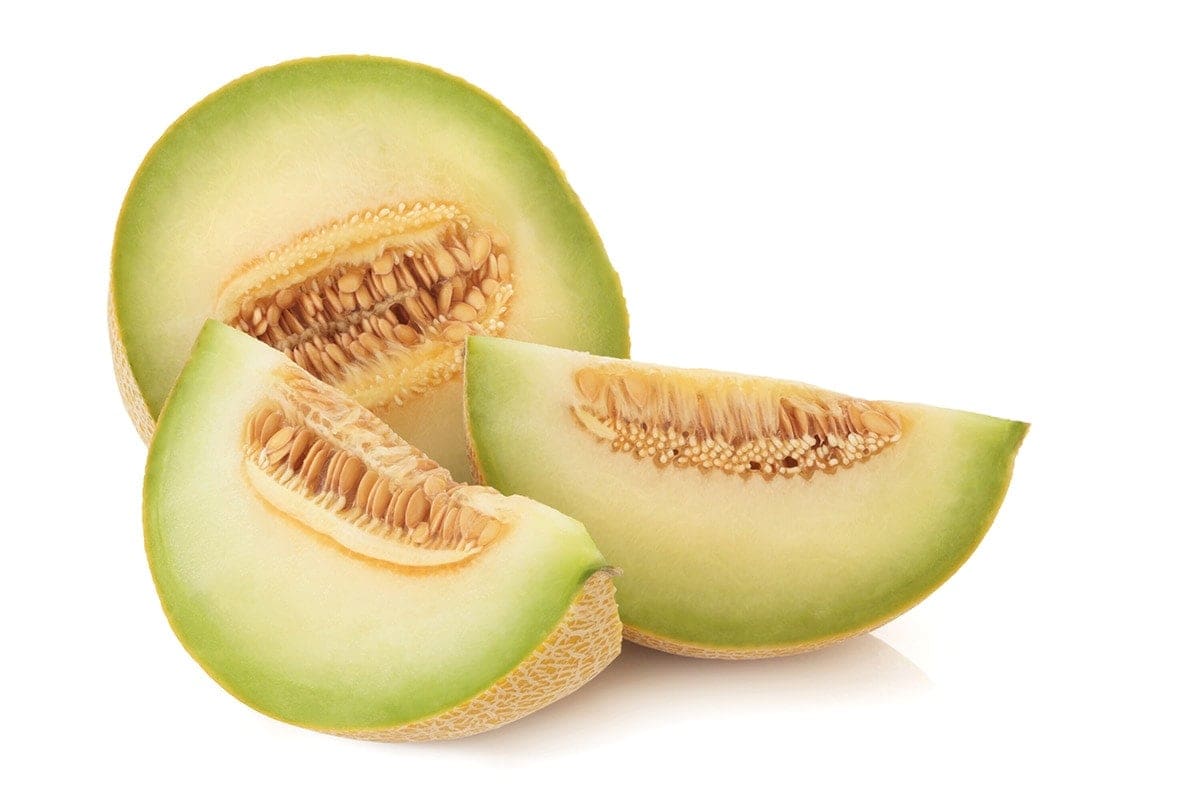 Galia melon on a white background