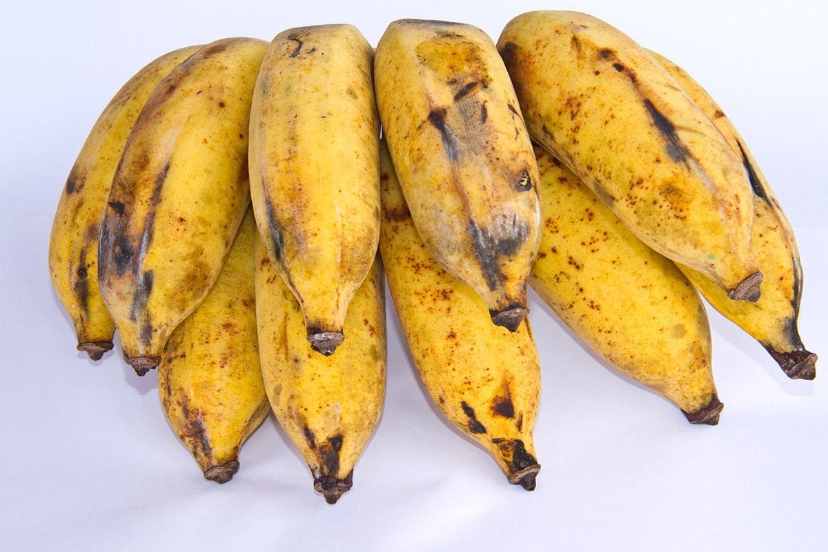 burro banana isolated on a white background