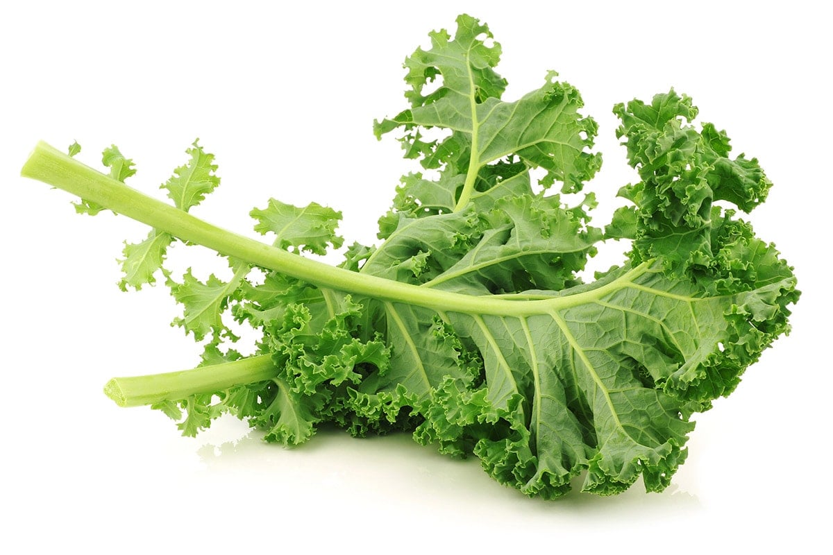 kale on white background