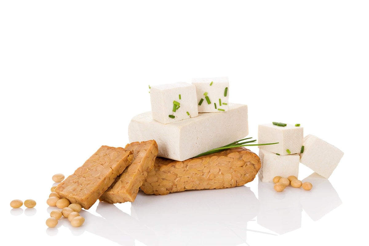 tofu and tempeh, isolated on a white background
