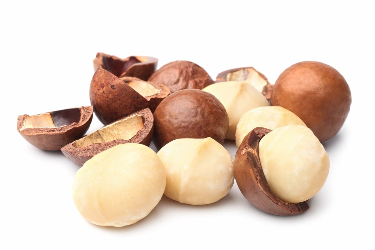 macadamia nuts on white background