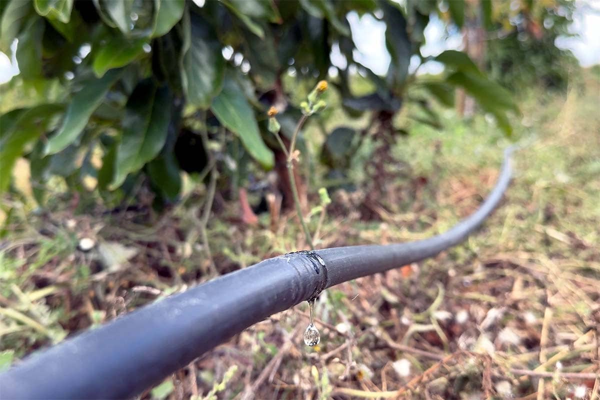 rega gota a gota sur andina