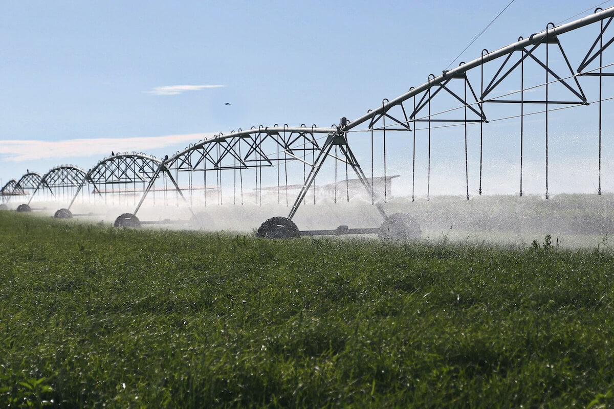 Manure treatment converts manure to clean effluent water