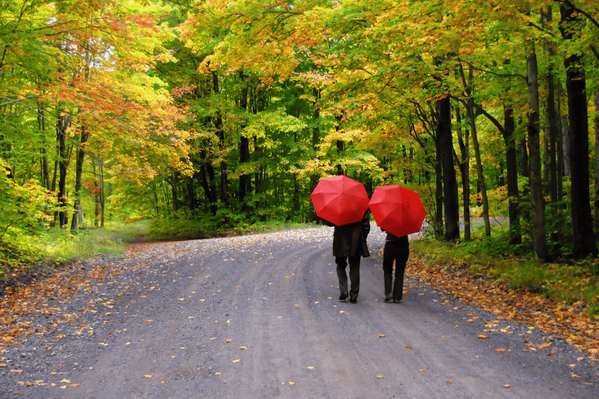 Couple walking in the rain with umbrellas