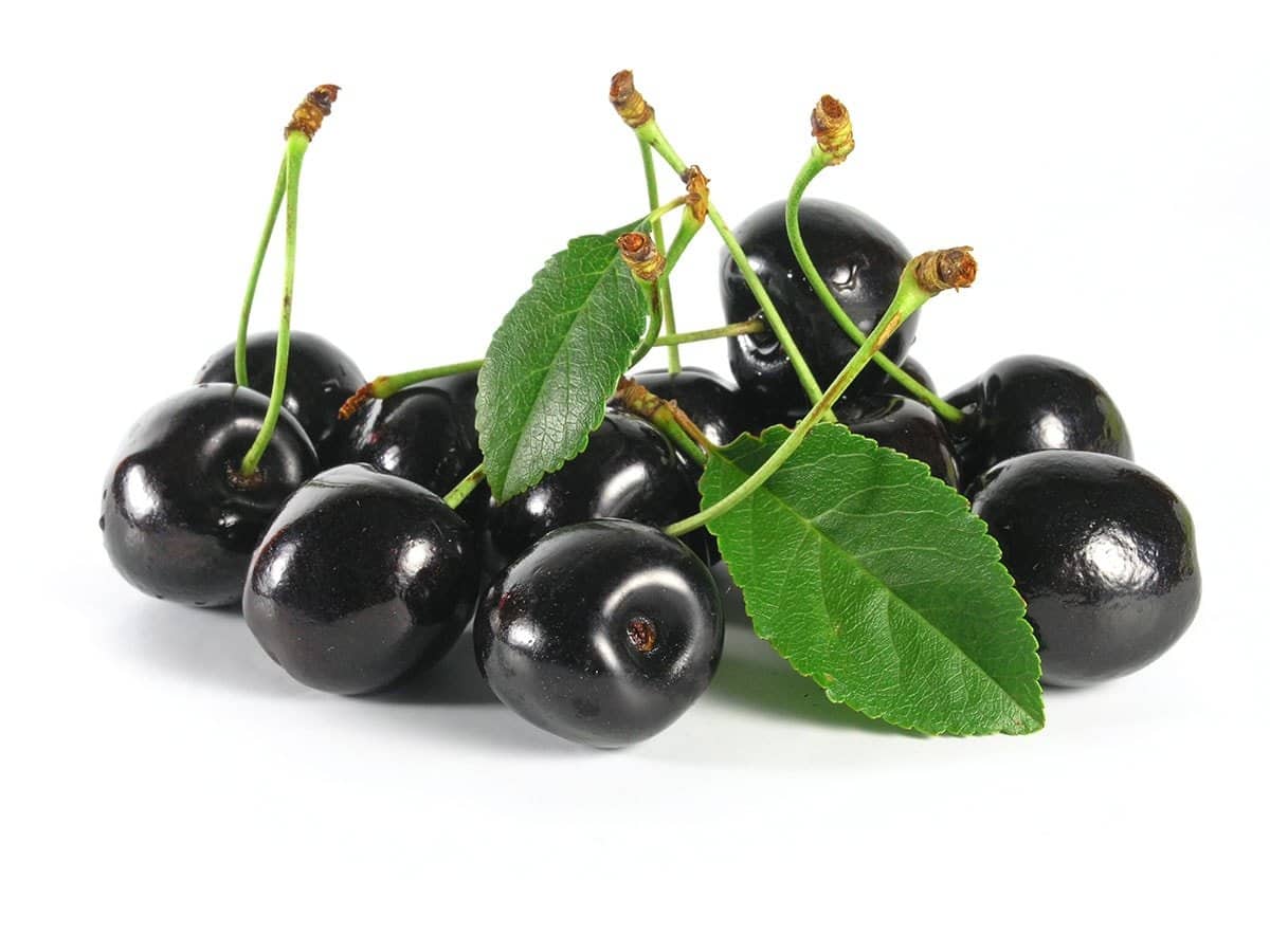 black cherries on white background