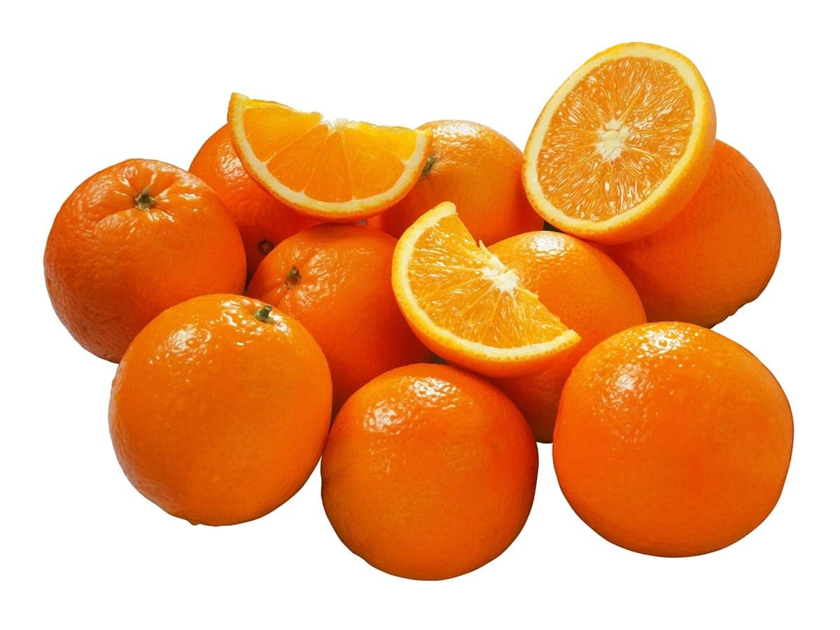 oranges on white background