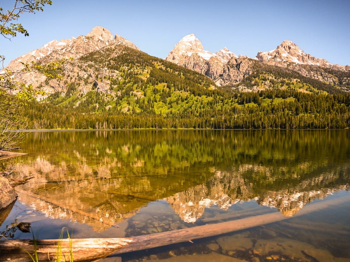 view of the Grand Tetons from across still waters of Bradley Lake