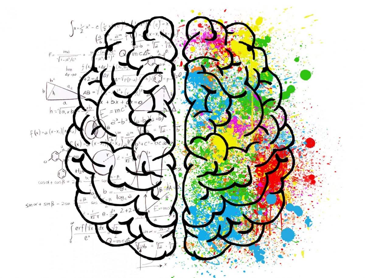 nimble_asset_brain-2062057-scaled-e1592326511454