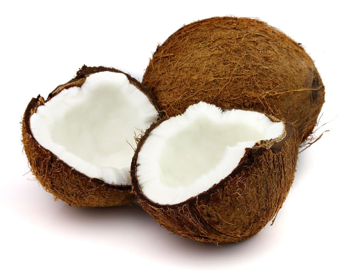 dried coconut on white background