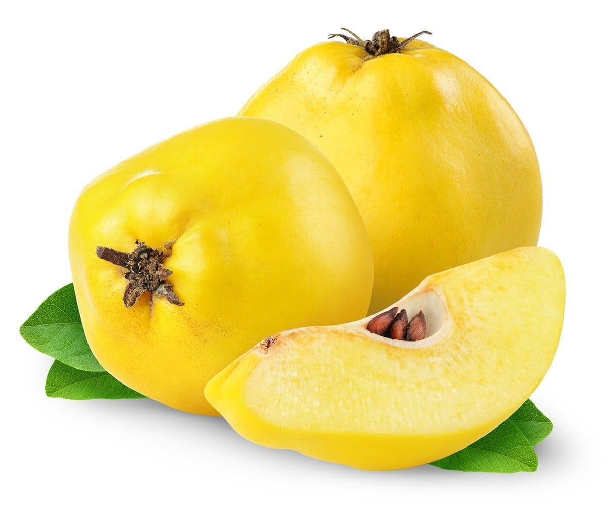 Quince fruits isolated on white background