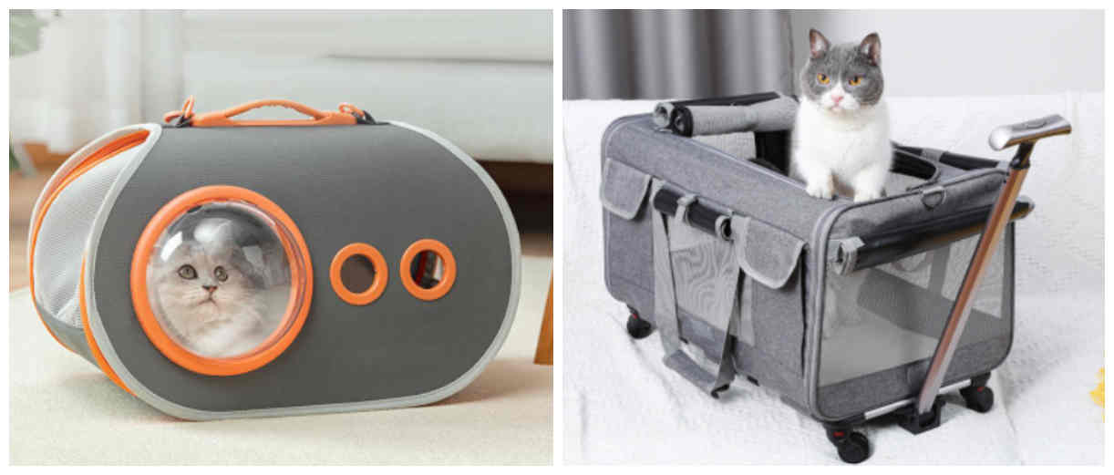 pet luggage