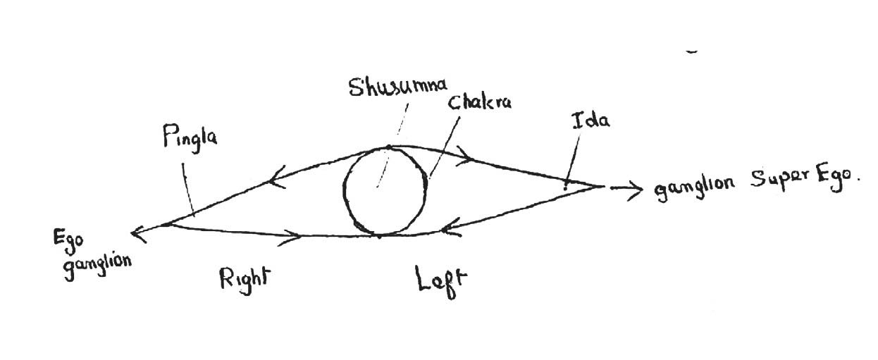 Dibujo original de Shri Mataji.