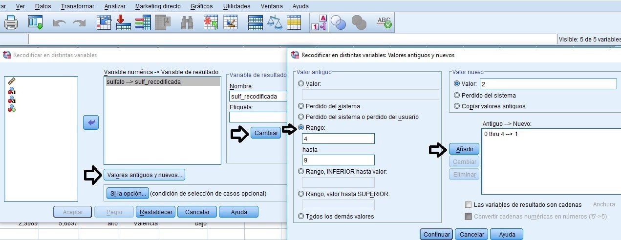 recodificar en distintas variables en SPSS