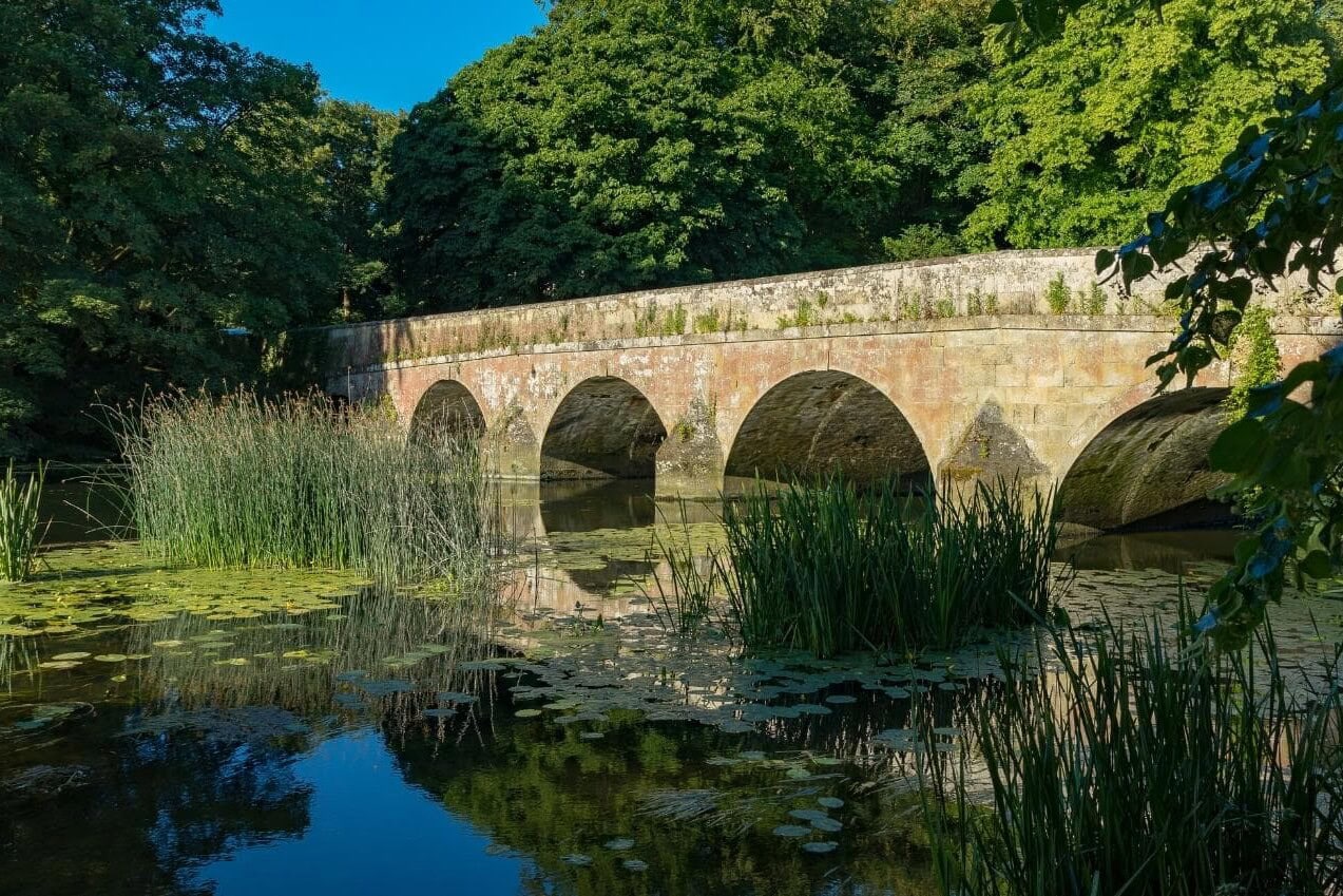 blandford forum river 1 uai