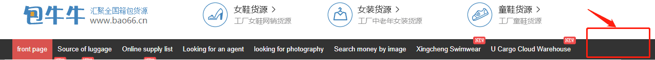 Bao66 website navigation used for wholesale bag product research
