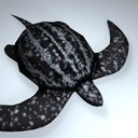 leatherback_icon2