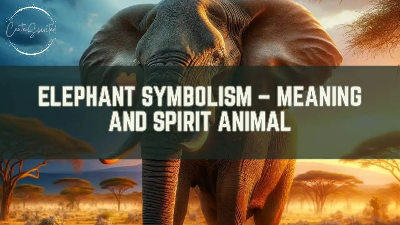 elephant symbolism and spirit animal featured image