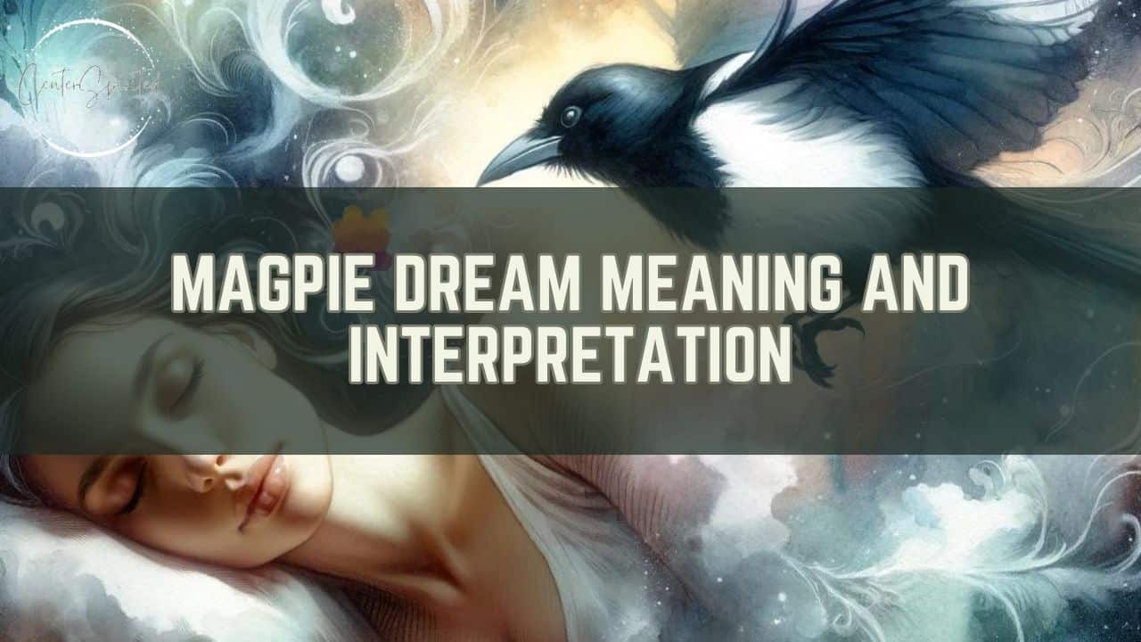 Magpie Dream Meaning featured image