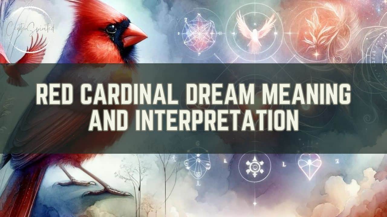cardinal dream meaning