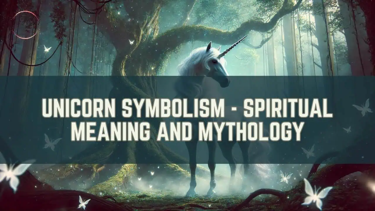 Unicorn Symbolism featured image
