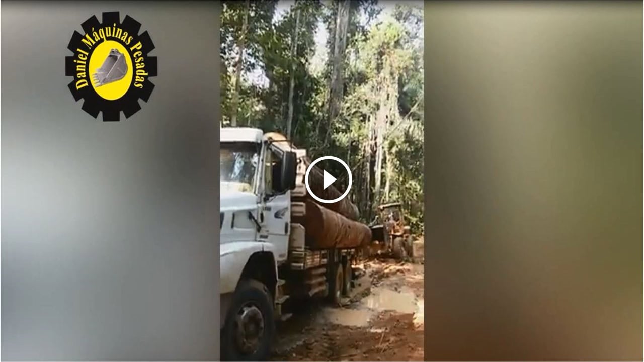 Carregadeira e trator desatola caminhão com toras!