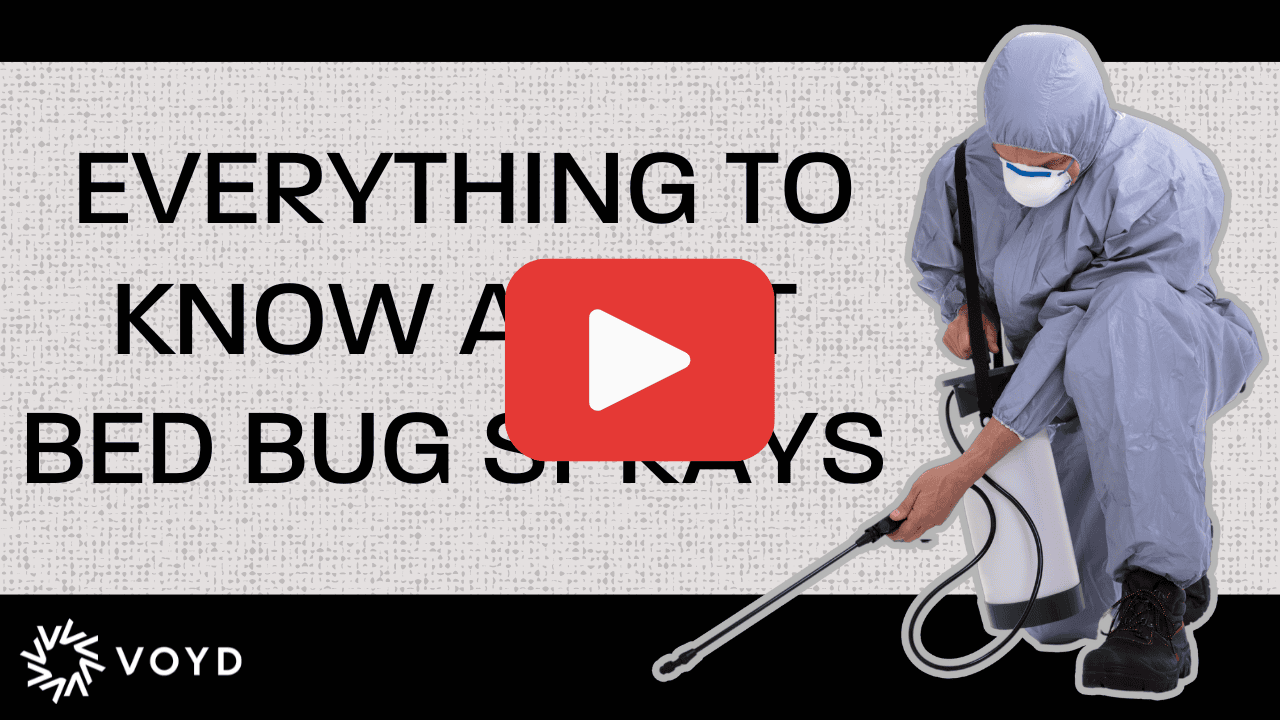 a man performing a bed bug spray.