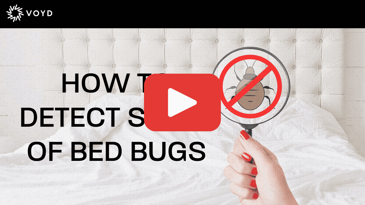 image of a thumbnail for the youtube video titled How to Detect Signs of Bed Bugs by Voyd Bed Bug Treatment