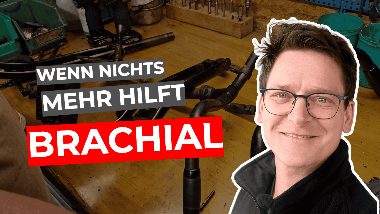 Werkstatt Update 2025-06