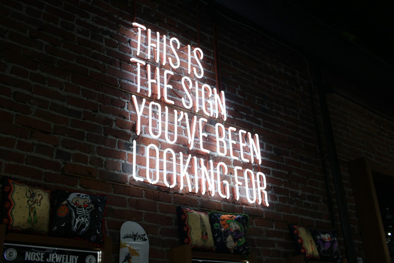 Fluorescent sign saying "this is the sign you have been looking for", as if to indicate useful information