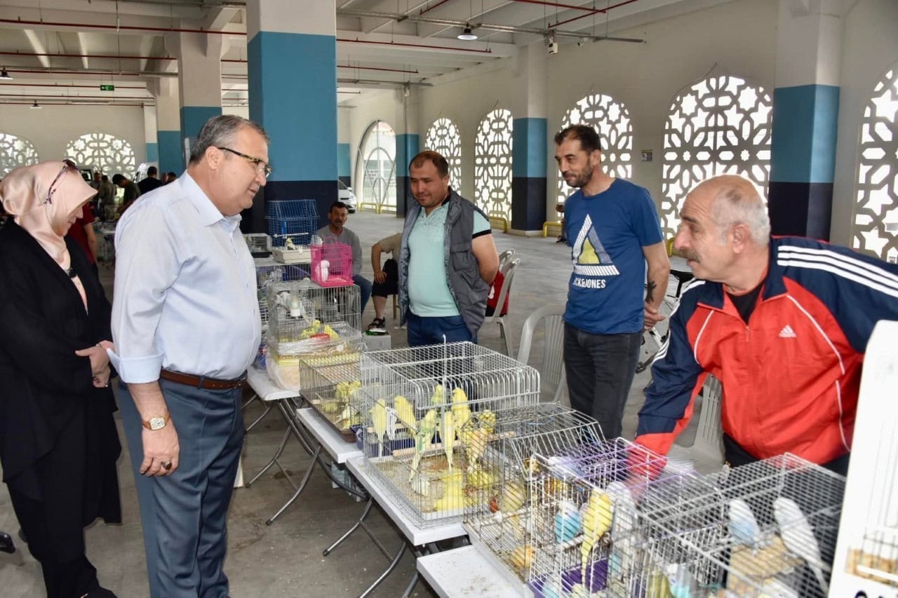 Kuş Pazarında Brahma Yarışması yapılacak