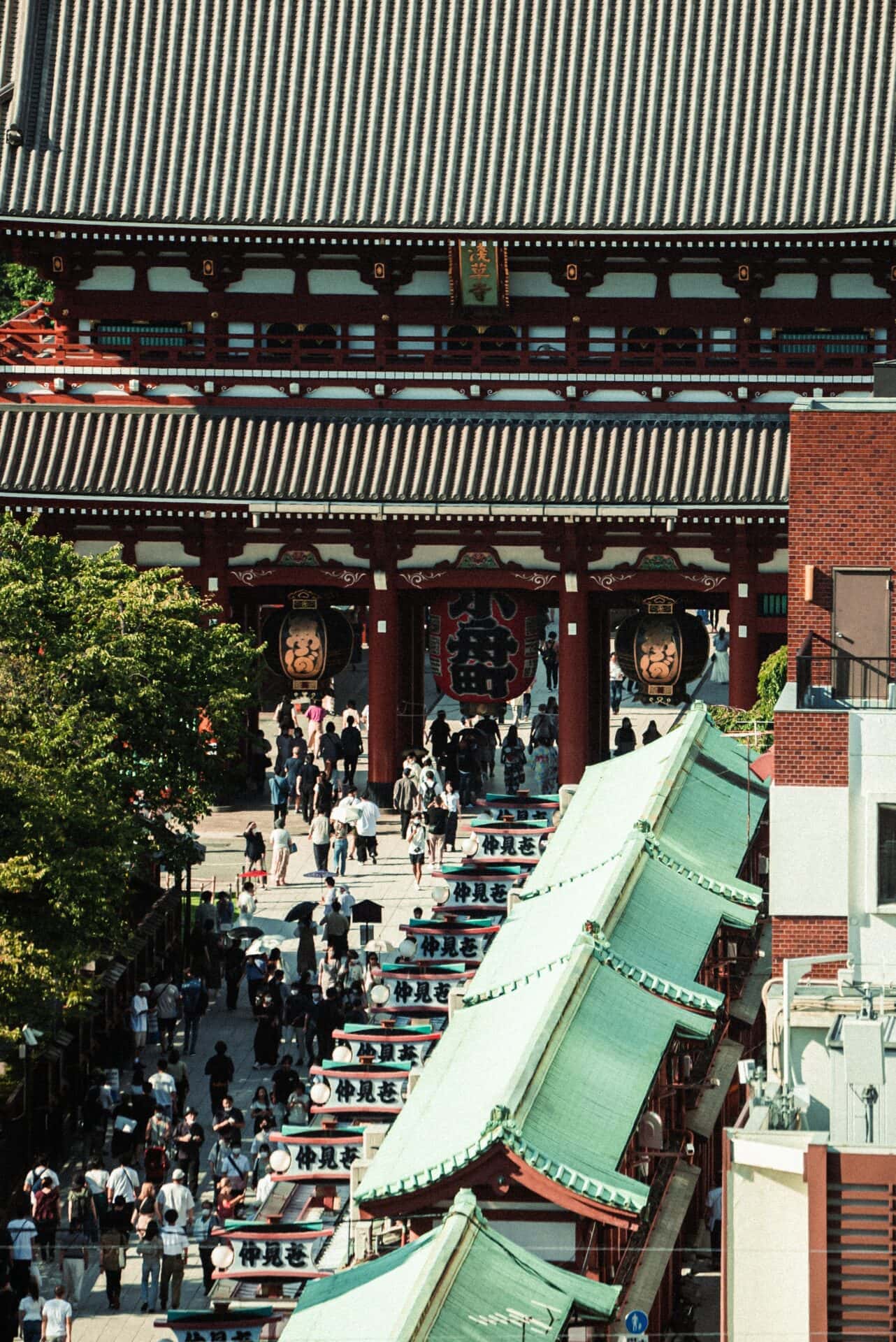 pexels-satoshi-hirayama-13598689