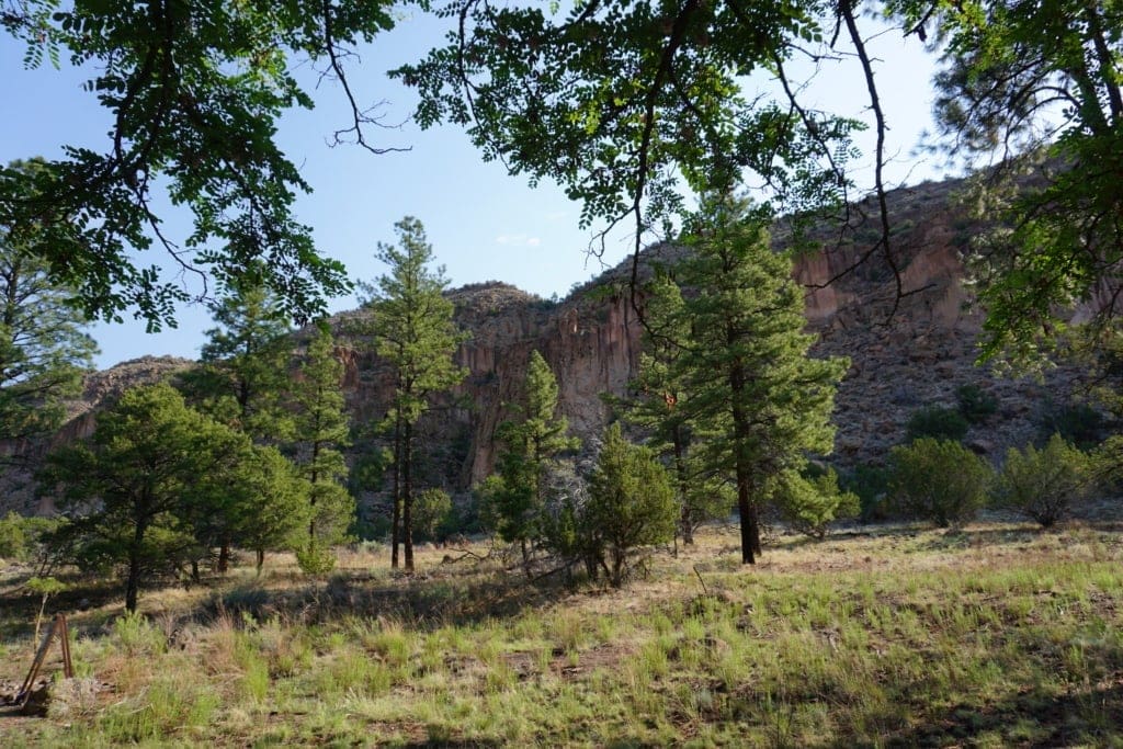 مسارات المشي لمسافات طويلة في نصب Bandelier الوطني 9 الغابة من درب الحلقة الرئيسية Bandelier NAtional Monument